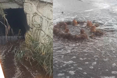 İzmir'e milyon liralık yeni bir atık su cezası daha!